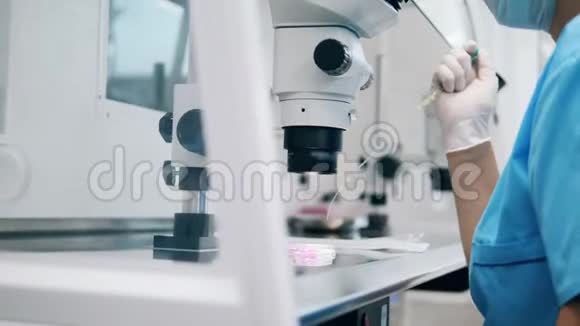 化学实验室的工作人员正在显微镜下用物质填充一个管子视频的预览图