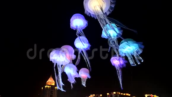 水母引导照明视频的预览图