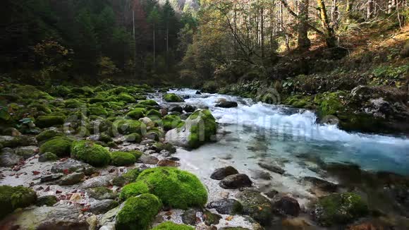 清新冷峻的山河伴着大自然的声音视频的预览图
