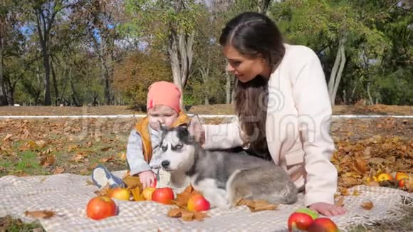 休闲一家人带着狗享受秋日坐在背景树和的果木上享受大自然视频的预览图