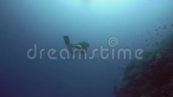 潜水潜水潜水视频的预览图