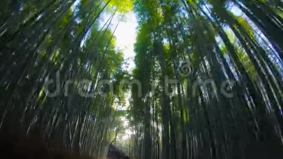 日本大阪京都山竹路视频的预览图