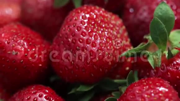 令人垂涎欲滴的红草莓新鲜草莓红色背景上的草莓最好的红色草莓质地视频的预览图