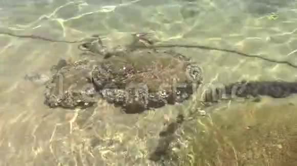 海底的岩石视频的预览图