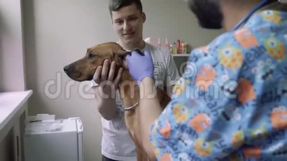 微笑的兽医检查狗的耳朵视频的预览图