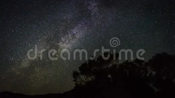 4k时间推移电影剪辑的移动星迹在夜空夏天银河系在树上旋转视频的预览图
