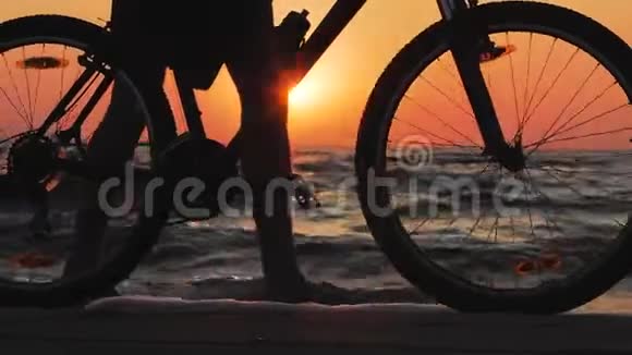 有自行车的男人视频的预览图