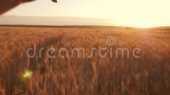 快乐的孩子带着玩具飞机在日落背景下跑过一片田野幸福家庭的概念童年视频的预览图