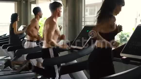 一群人在现代健身房的跑步机上锻炼健身男女一起工作视频的预览图