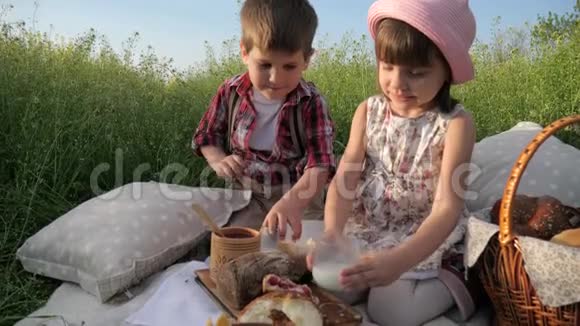 健康儿童的健康食品儿童野餐家庭在大自然中休息儿童喝牛奶快乐女孩吃视频的预览图