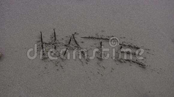 海特在海滩上被冲走了视频的预览图