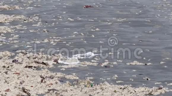 海滩上的污垢视频的预览图