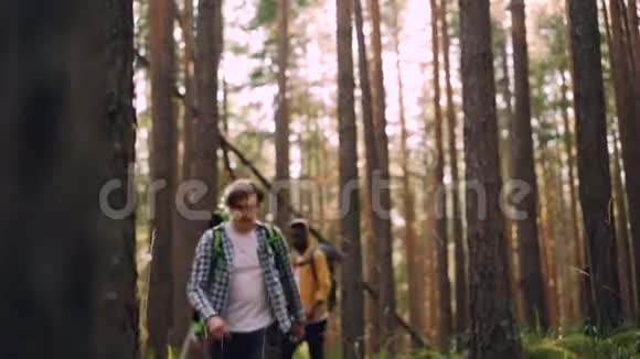 阳光明媚的夏天年轻粗心的男人和女人背着背包在树林里徒步旅行说话和微笑旅行视频的预览图