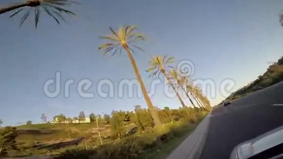 日落时由棕榈树驾驶视频的预览图