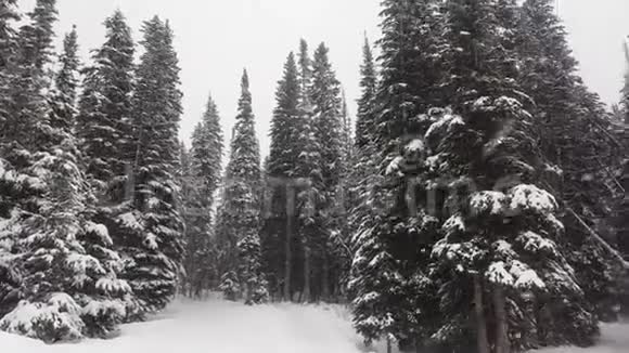 加拿大艾伯塔省露易丝湖冬季视频的预览图