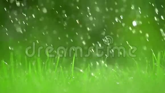 绿草如茵的草坪和飘落的雨滴浅浅的DOF超级慢动作视频500fps视频的预览图