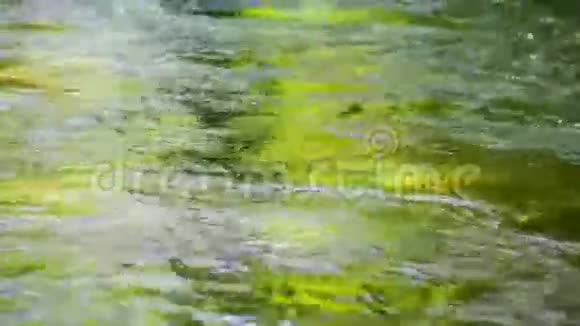 溪水在山间缓缓流动视频的预览图