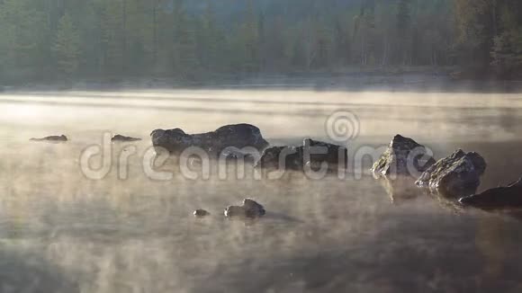 早晨的湖和日出后的雾视频的预览图