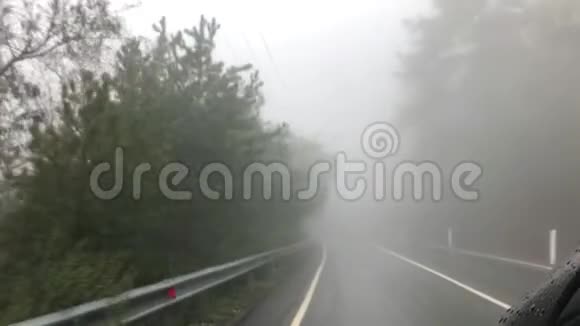 雾中的森林视频的预览图