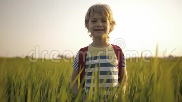 微笑的孩子在稻田的绿草上放学回家视频的预览图