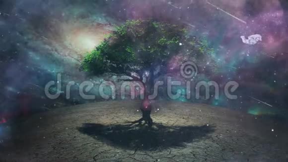 生命之树视频的预览图