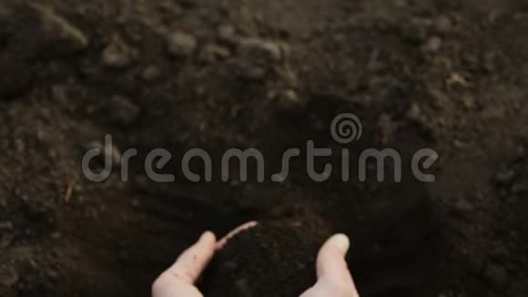 人类的双手采集黑色肥沃土壤的样本视频的预览图