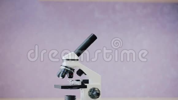小女孩专注地看着显微镜视频的预览图