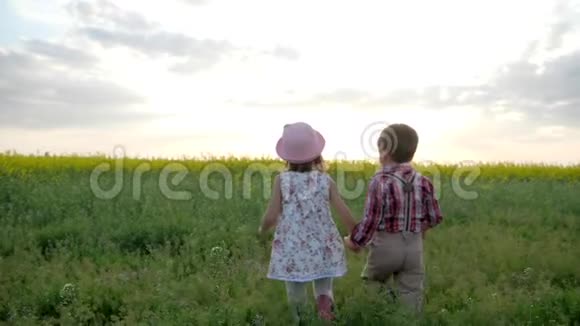 可爱的小女孩和男孩牵着手走着孩子们在田野里带着鲜花孩子们在绿色公园玩耍家庭自然在视频的预览图