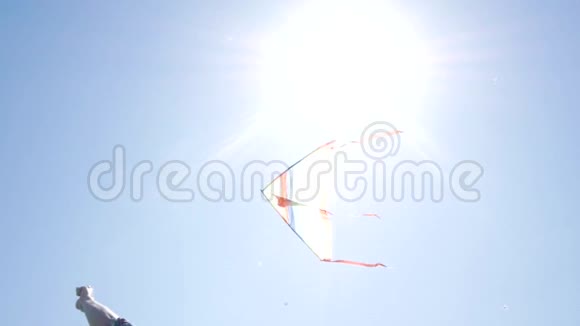男性玩风筝视频的预览图