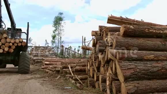 重起重吊车装车切割木原木装载木材工作中的装载机视频的预览图