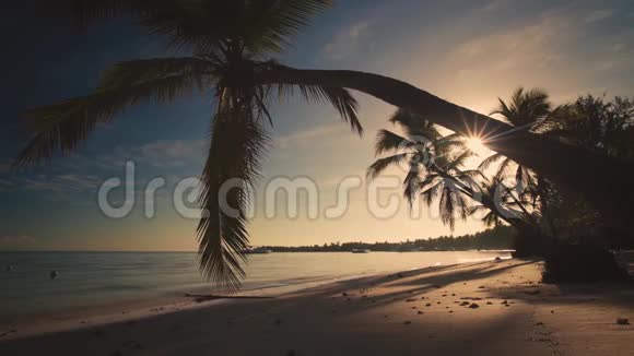 热带天堂岛的海滩景色有游艇和棕榈树从棕榈树下看到日出景色早晨视频的预览图