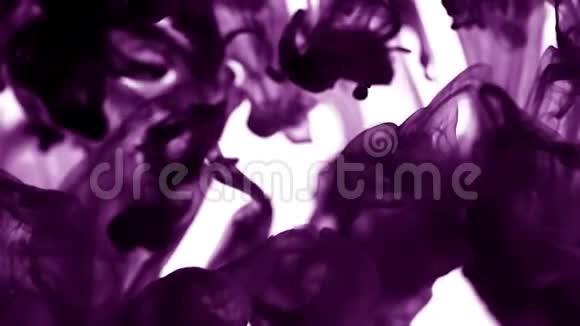 很漂亮的背景水中的紫色染料颜色深紫的墨水掉在水里可爱明亮的蜕变视频的预览图