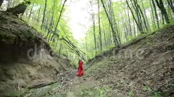 在森林里迷路的女孩视频的预览图