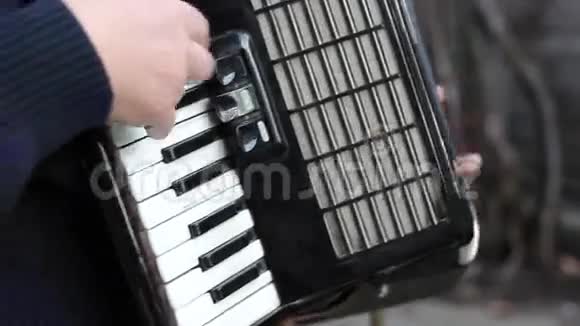 钢琴手风琴音乐家视频的预览图