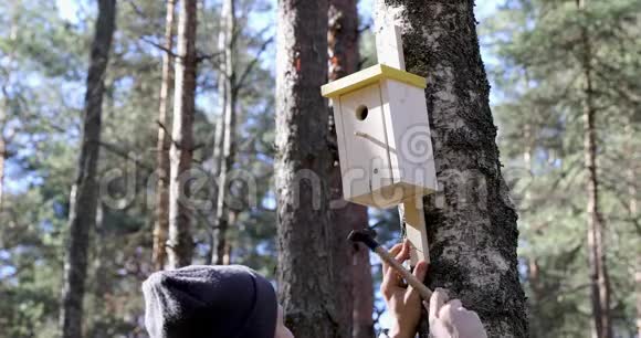 在树干上钉鸟屋的人视频的预览图