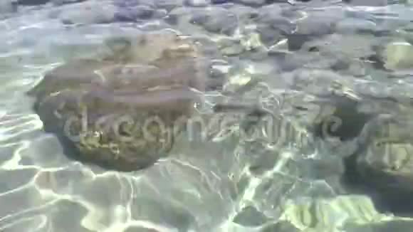 在水下的岩石视频的预览图