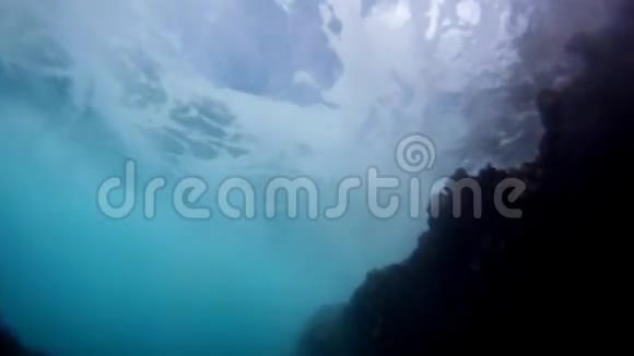 从海底看过的海浪视频的预览图