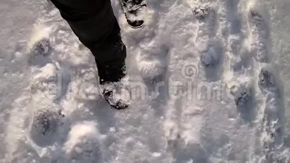 穿过雪地视频的预览图