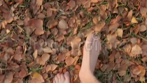 在秋天赤脚行走视频的预览图