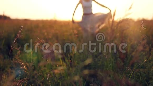 年轻女子在稻草中享受大自然和阳光视频的预览图
