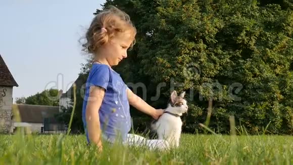 一个卷曲的小女孩抚摸一只三色的猫家庭日宠物视频的预览图