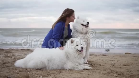 一个年轻的女人坐在沙滩上拥抱她在海边的萨莫伊德品种的狗白色绒毛宠物视频的预览图