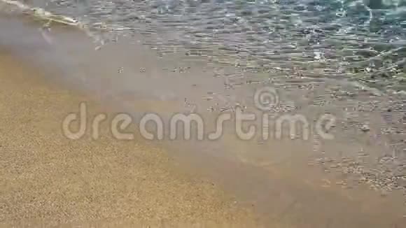 清澈的海浪视频的预览图