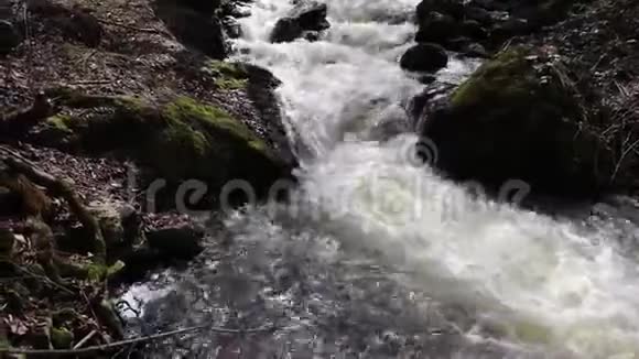山河视频的预览图