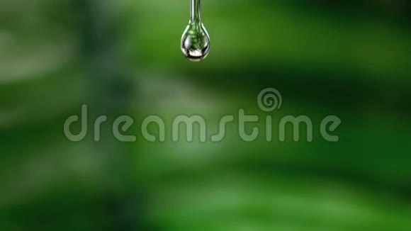 落在绿色自然背景下的水滴视频的预览图