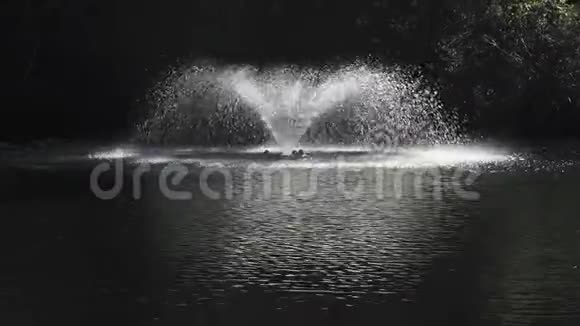在湖里喷泉视频的预览图