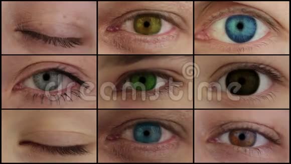 九只不同颜色的眼睛高清蒙太奇视频的预览图