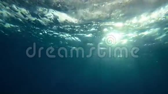 美丽的水下海景与自然光线缓慢运动视频的预览图