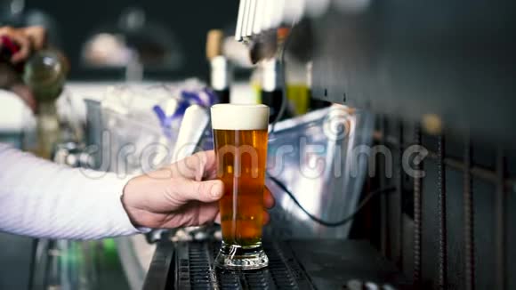 酒保把啤酒倒进杯子里视频的预览图