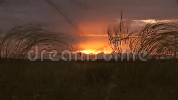 夕阳在田野上美丽的时光流逝远处的雨云和五颜六色的晚霞在蓝天上视频的预览图